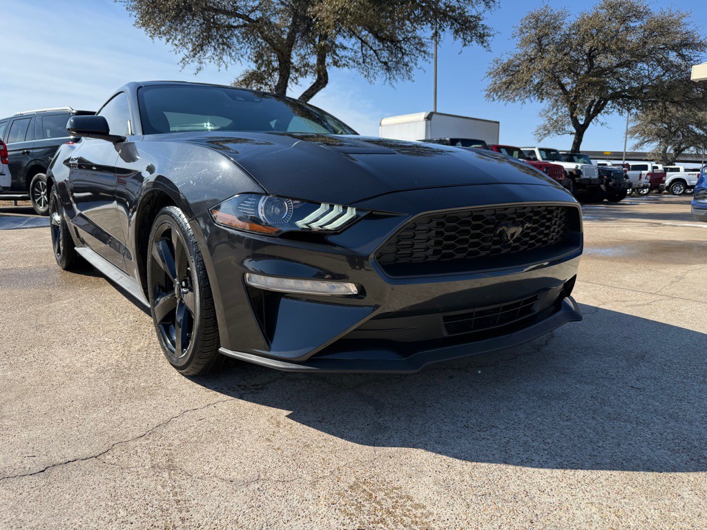 2023 Ford Mustang Image 1