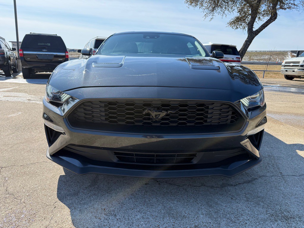 2023 Ford Mustang Image 2