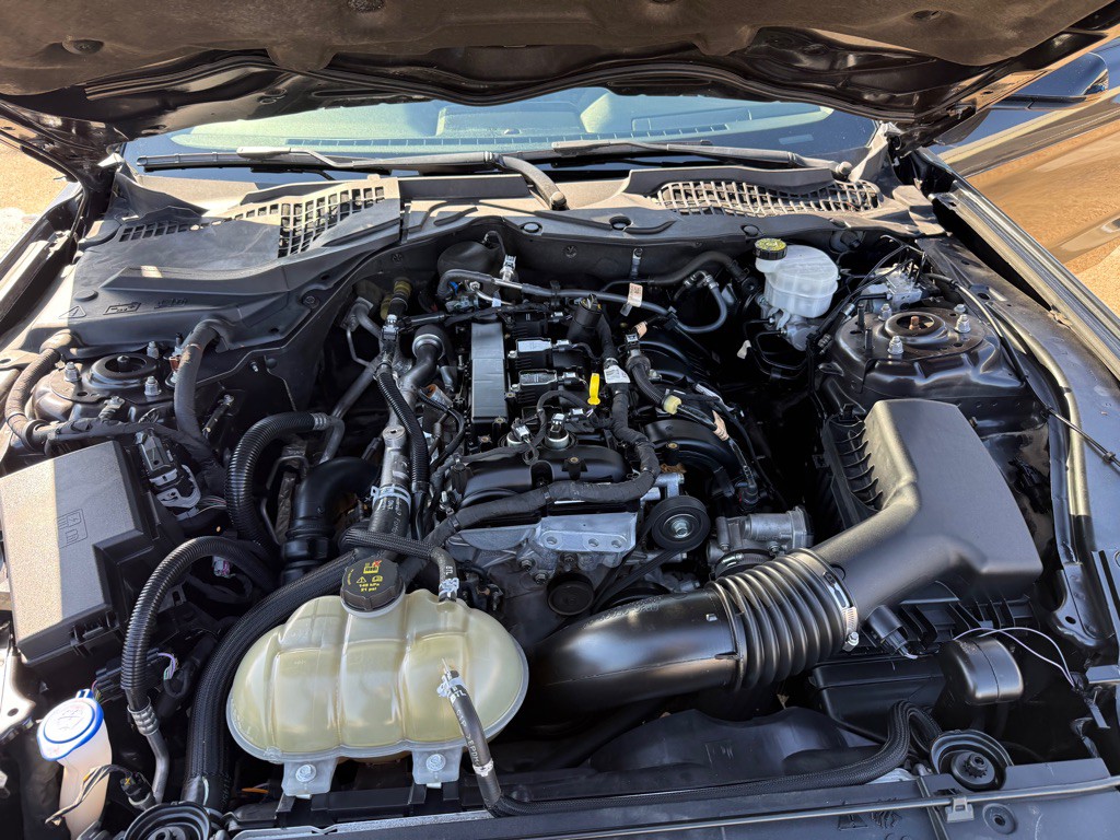 2023 Ford Mustang Image 28