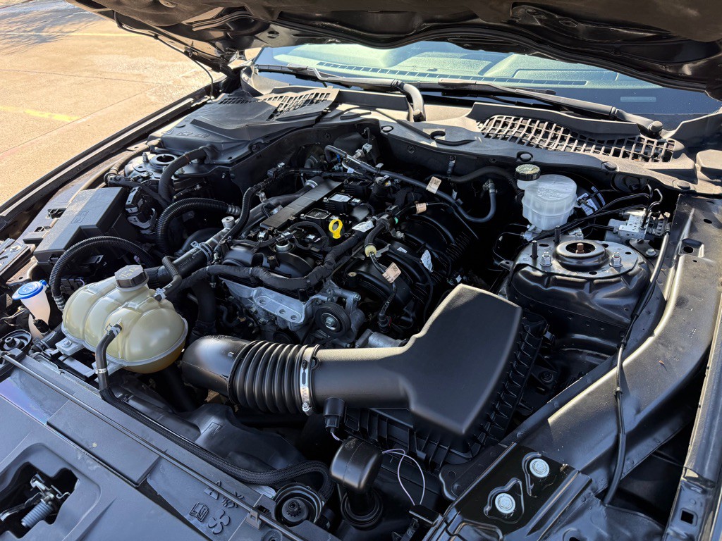 2023 Ford Mustang Image 29