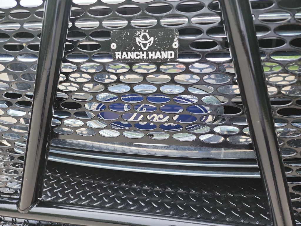 2017 Ford F-250 Image 3