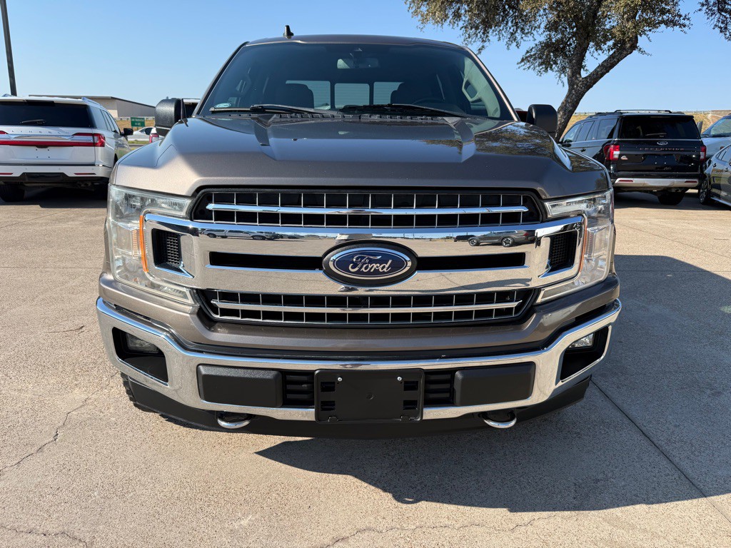 2019 Ford F-150 Image 2