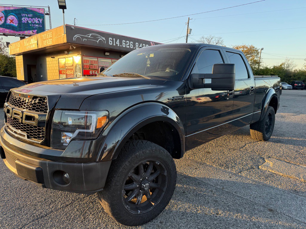 2010 Ford F-150 Image 1
