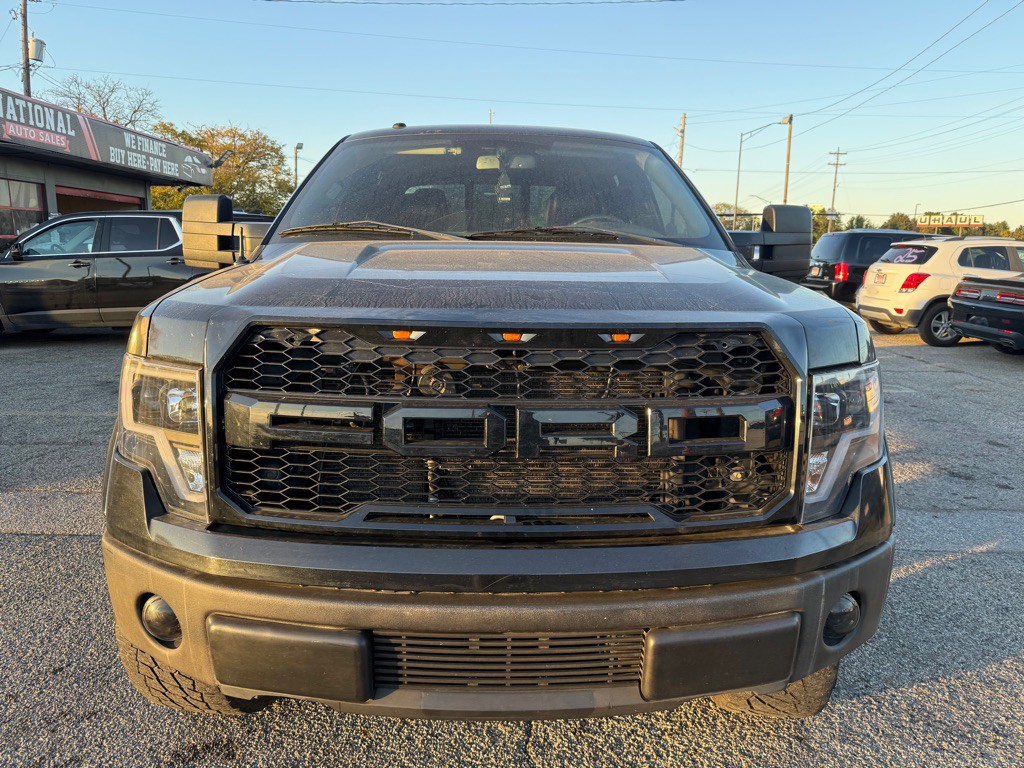 2010 Ford F-150 Image 3