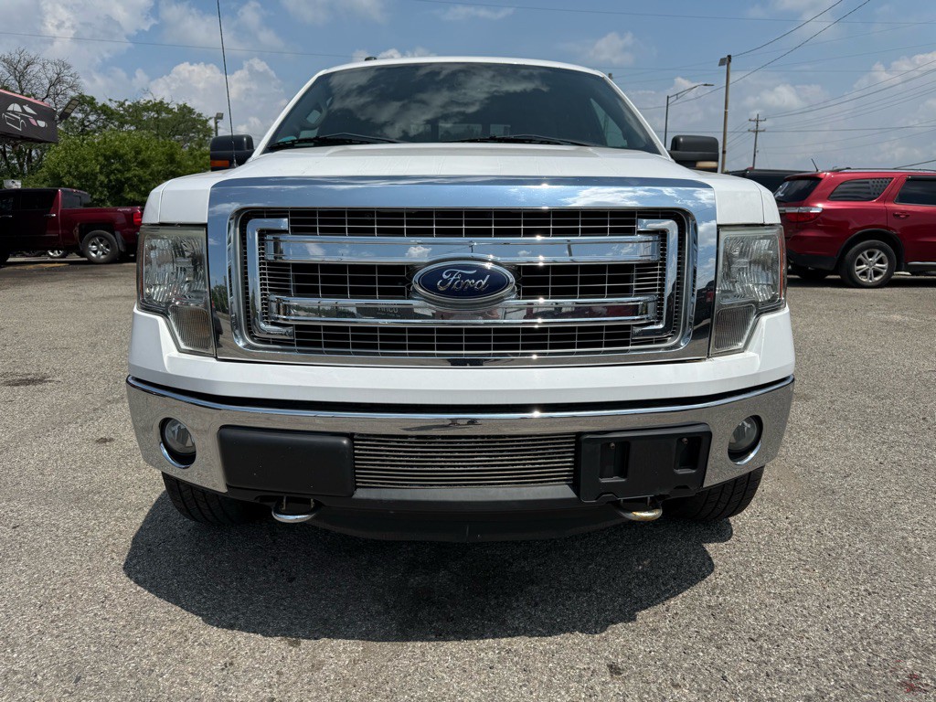 2013 Ford F-150 Image 3