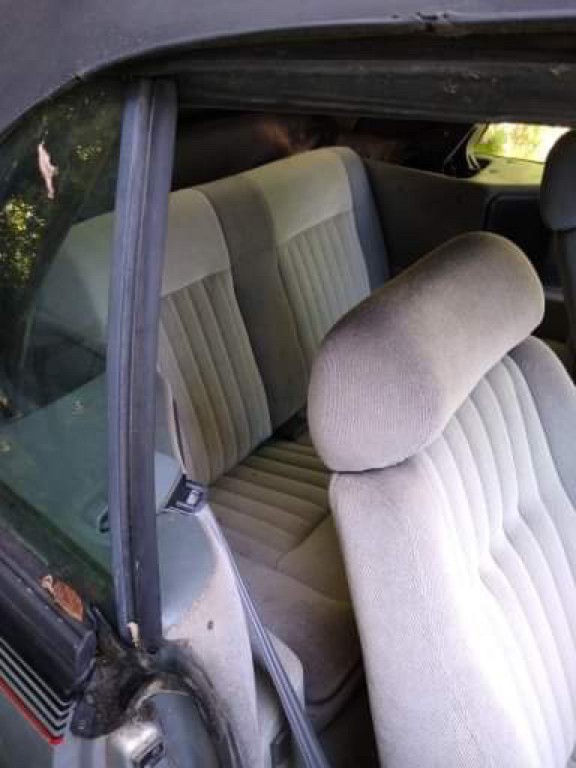 1986 Pontiac Sunbird Image 14