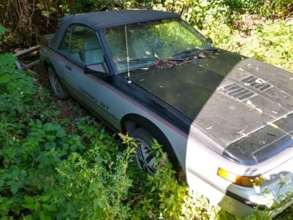 1986 Pontiac Sunbird Image 16