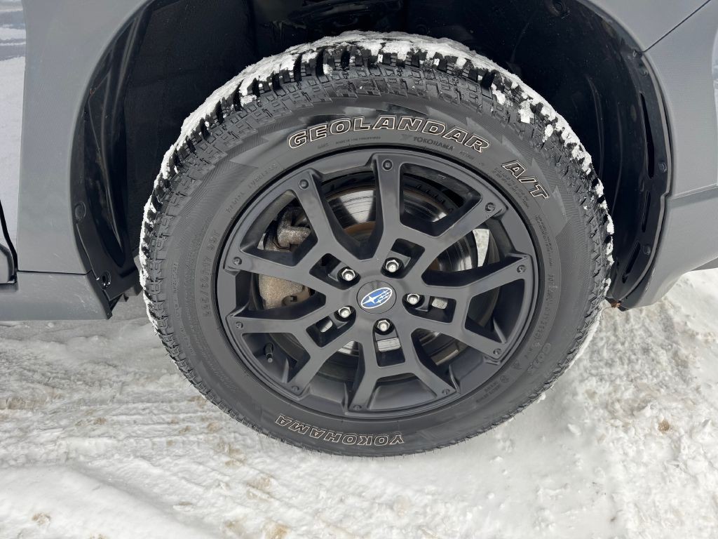 2024 Subaru Crosstrek Image 19
