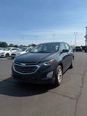 Image for 2019 Chevrolet Equinox LS ID: 7252347