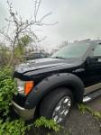 Image for 2009 Ford F-150 Supercrew ID: 7354458