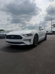 Image for 2022 Ford Mustang Ecoboost ID: 7577204