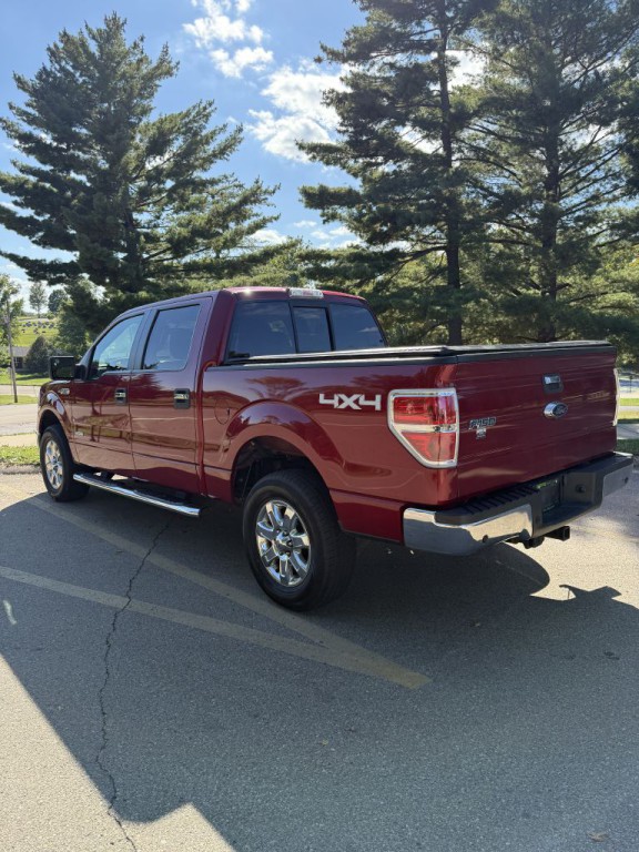 2014 Ford F-150 Image 7