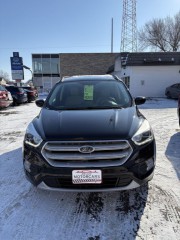 Image for 2019 Ford Escape SEL ID: 7138797