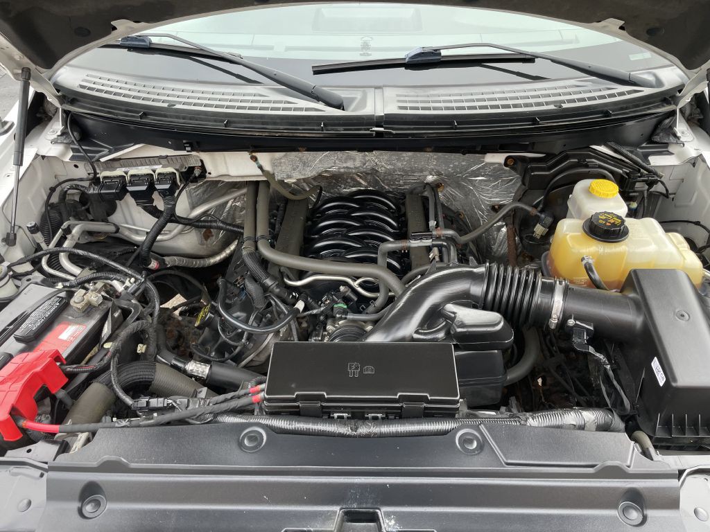 2014 Ford F-150 Image 10