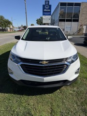 Image for 2019 Chevrolet Equinox LS ID: 7684322