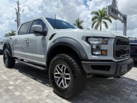 Image for 2017 Ford F-150 Raptor ID: 6736358
