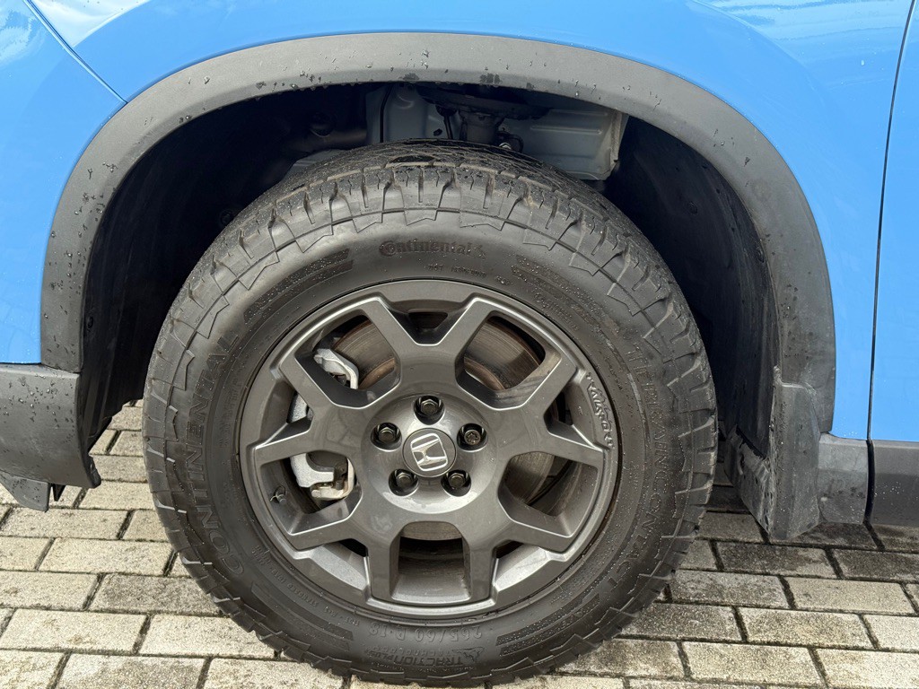 2024 Honda Pilot Image 40