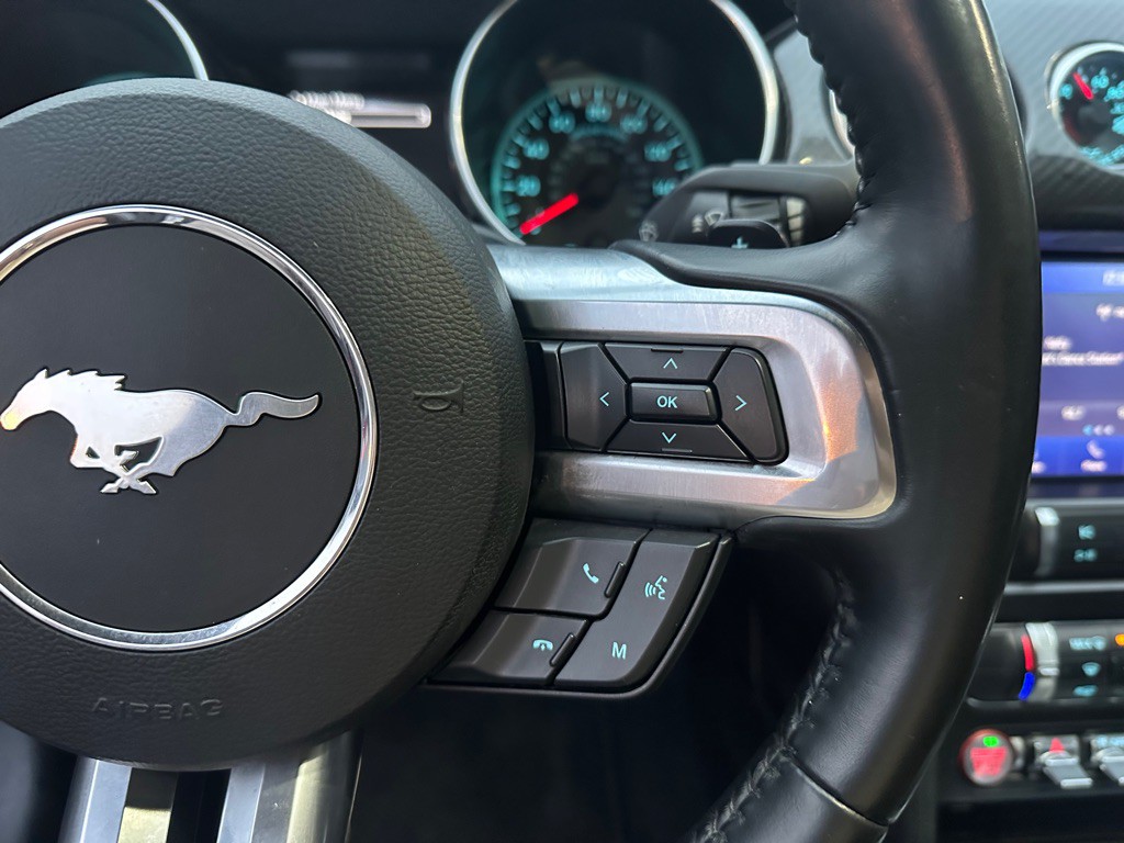 2019 Ford Mustang Image 13