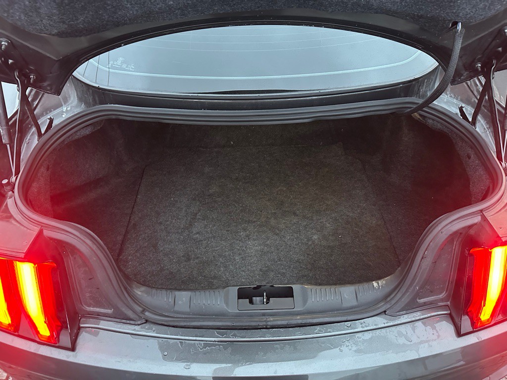 2019 Ford Mustang Image 7