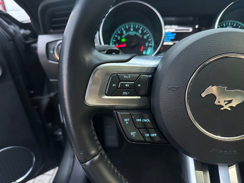 2019 Ford Mustang Image 12