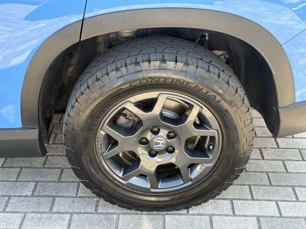 2024 Honda Pilot Image 42