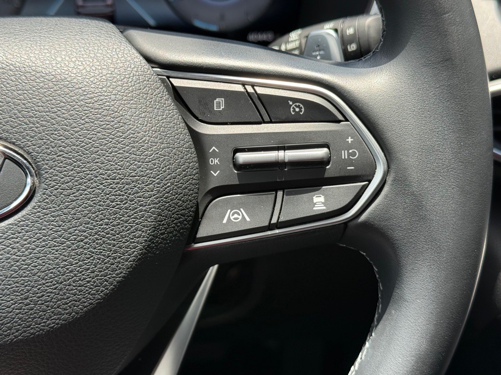 2022 Hyundai Santa Fe Image 19