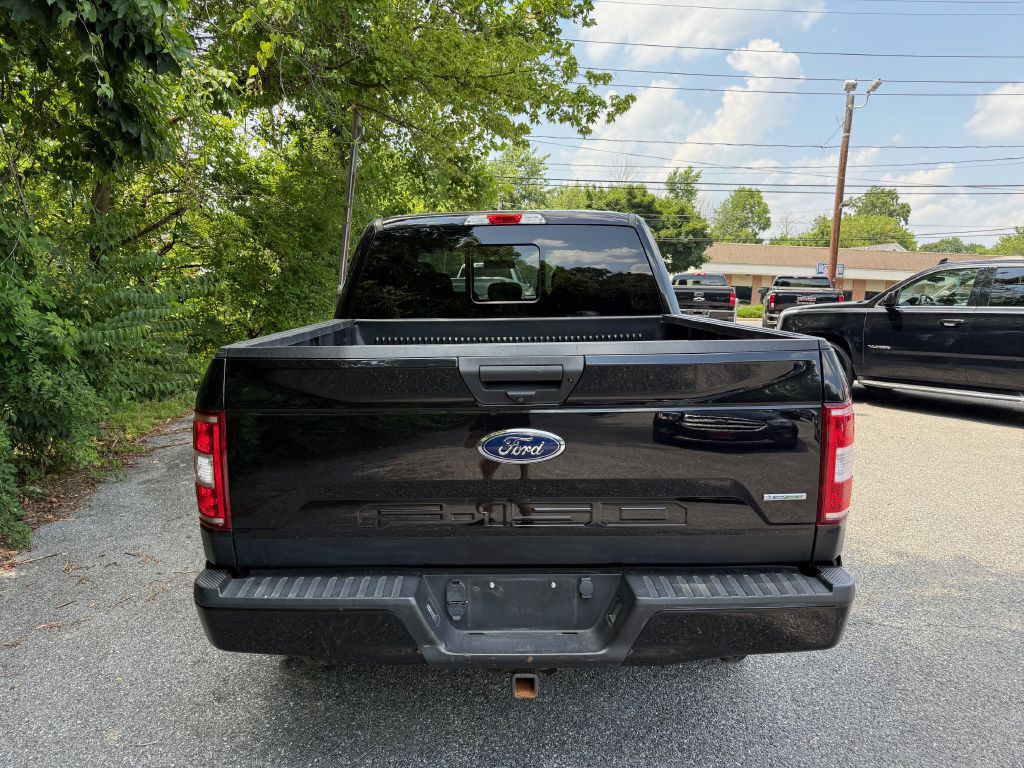 2019 Ford F-150 Image 4