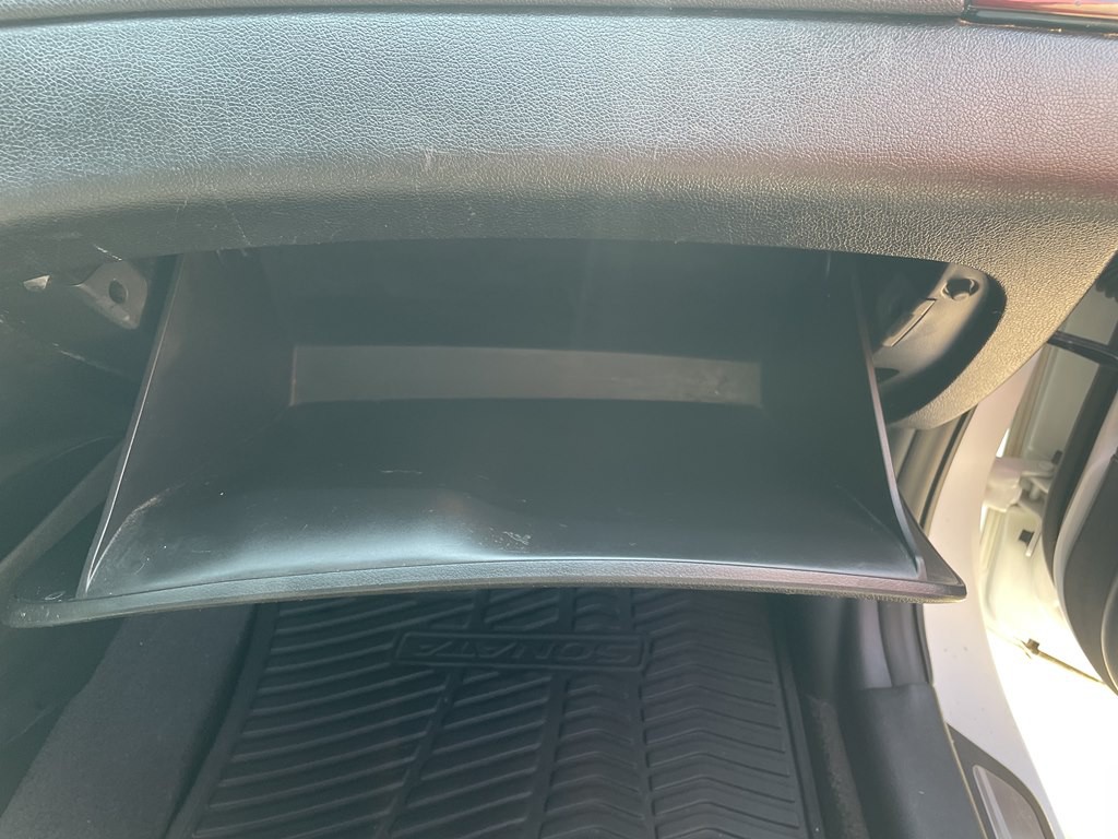 2014 Hyundai Sonata Image 19