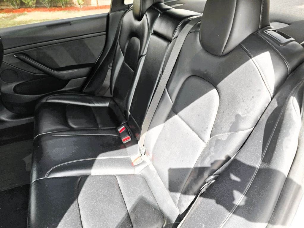 2022 Tesla Model 3 Image 7