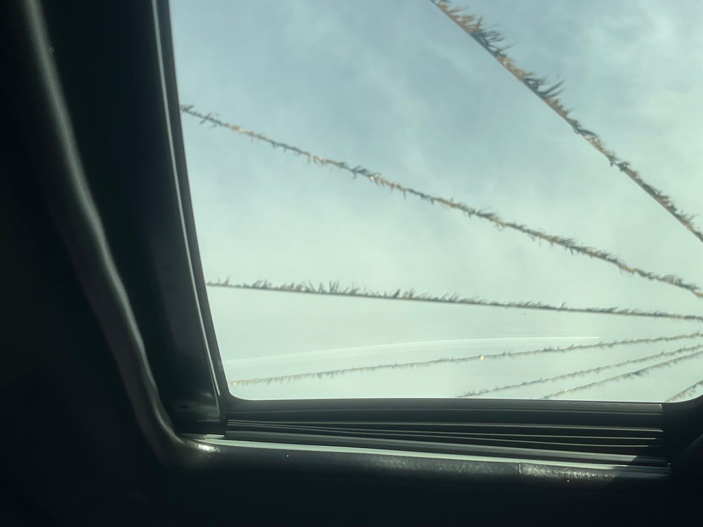 2022 Dodge Challenger Image 18