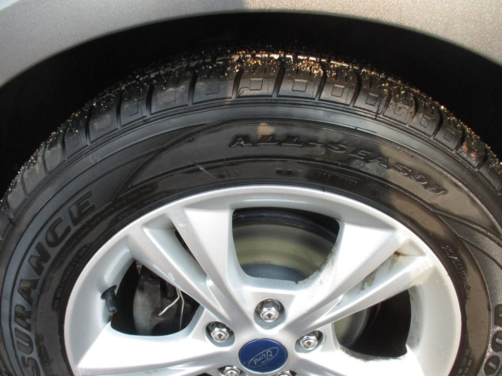 2014 Ford Focus Image 13