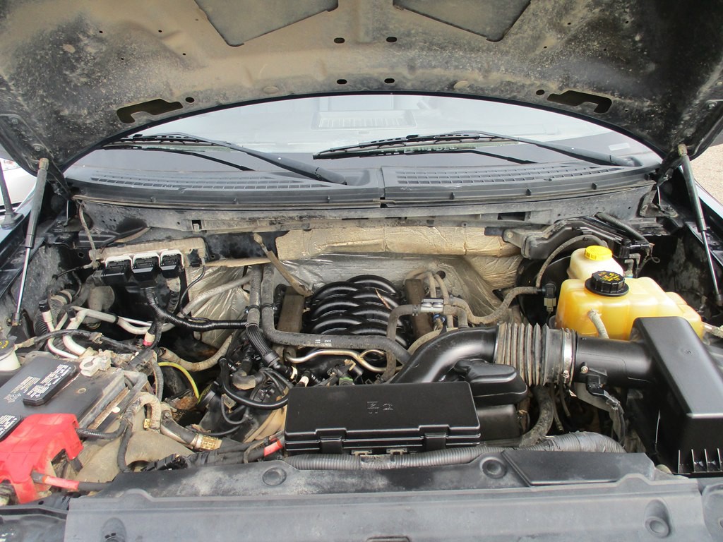 2014 Ford F-150 Image 13