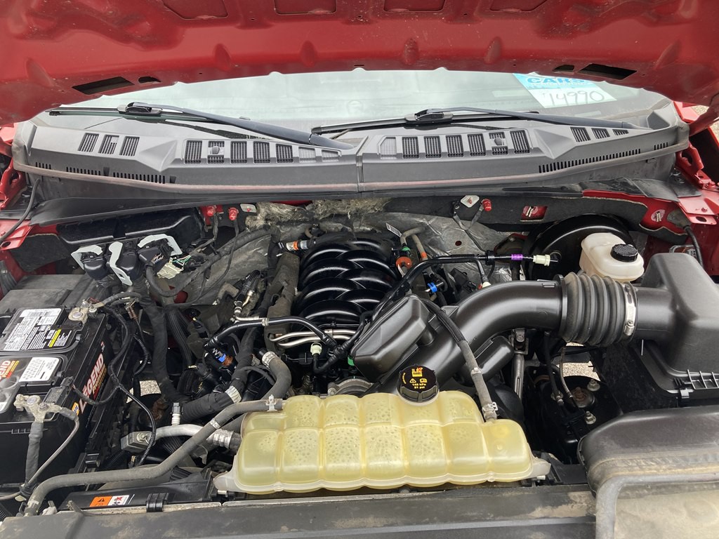 2019 Ford F-150 Image 12
