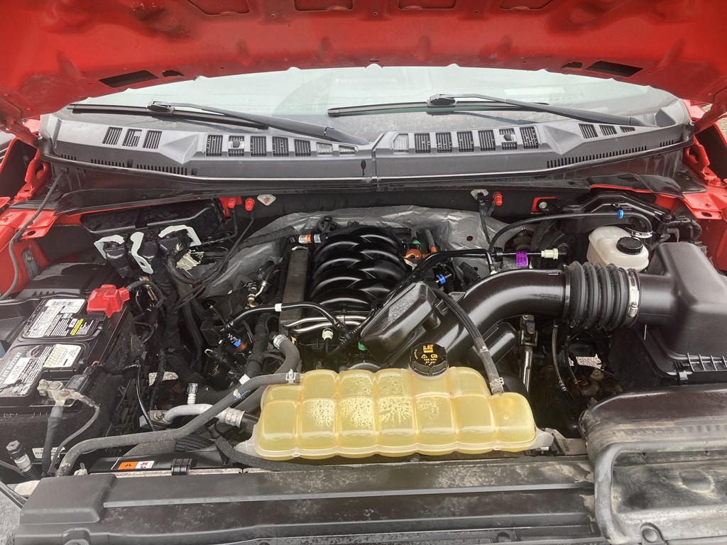 2020 Ford F-150 Image 14