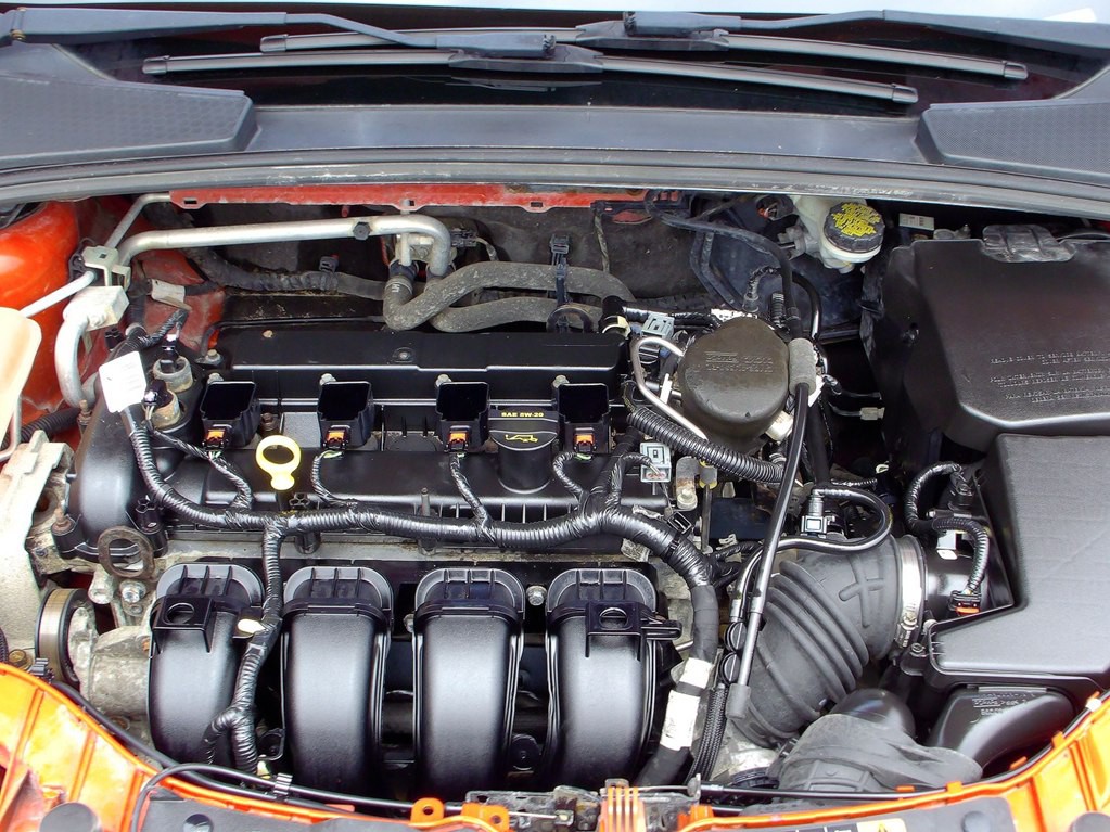 2014 Ford Focus Image 12