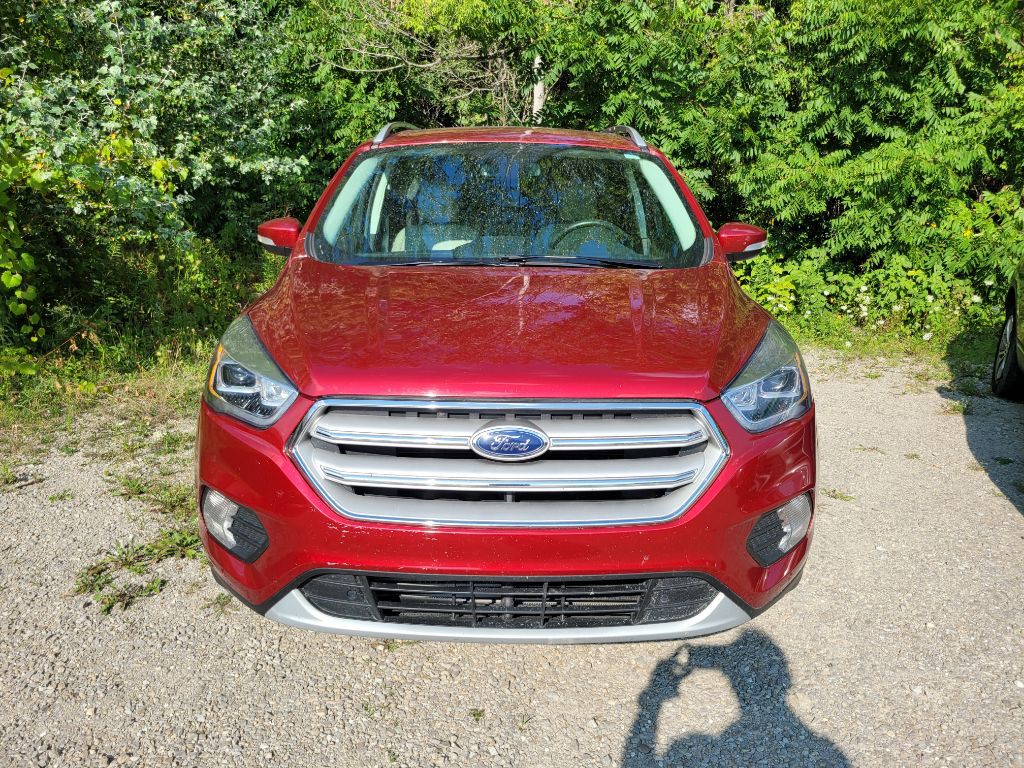 2019 Ford Escape Image 2