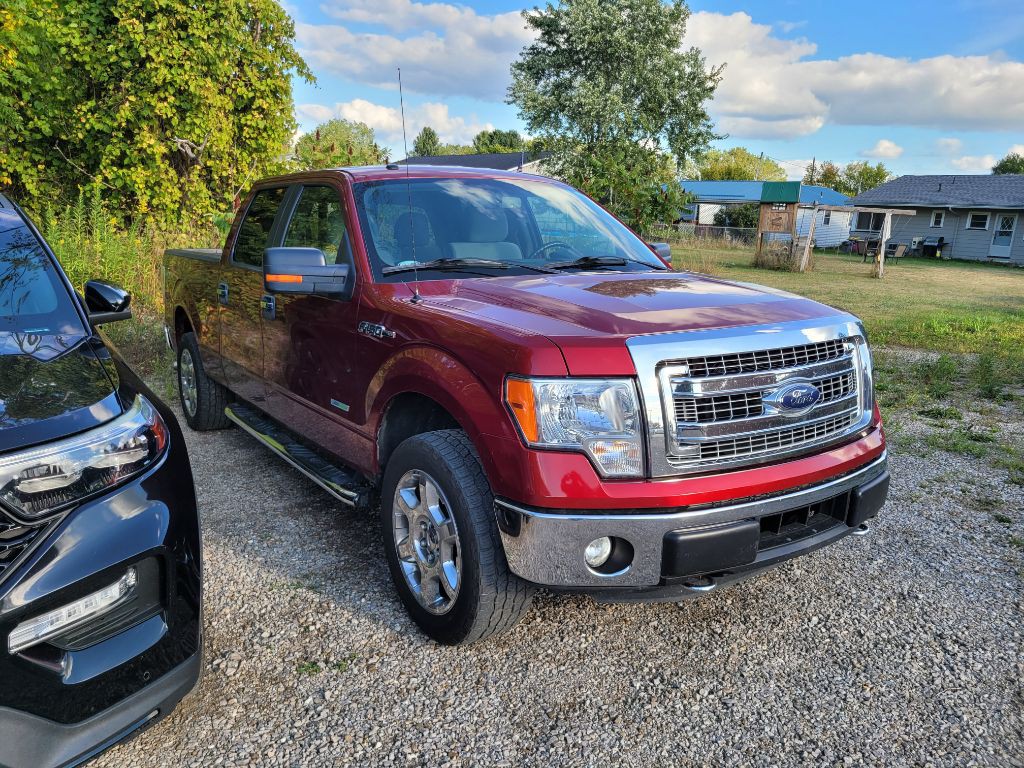 2014 Ford F-150 Image 3