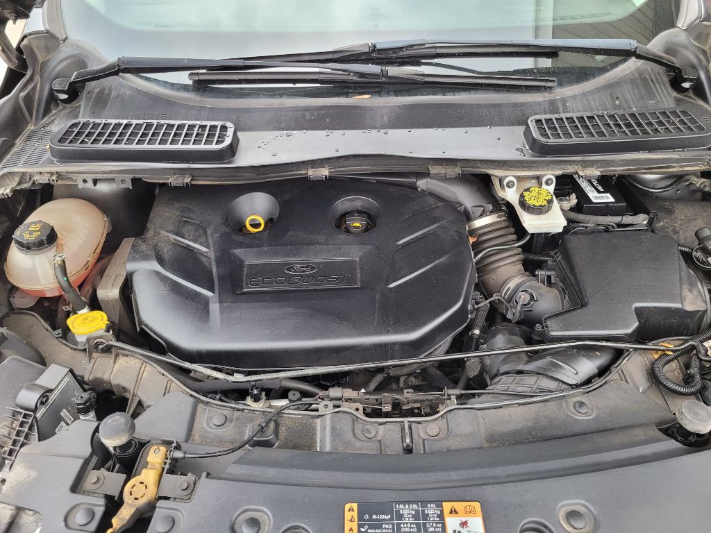 2019 Ford Escape Image 55