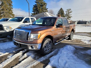 Image for 2011 Ford F-150 XLT ID: 7270205