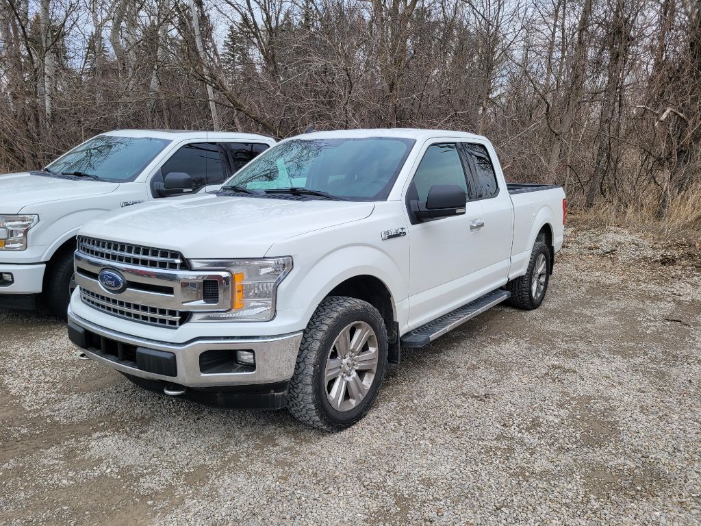 2020 Ford F-150 Image 1