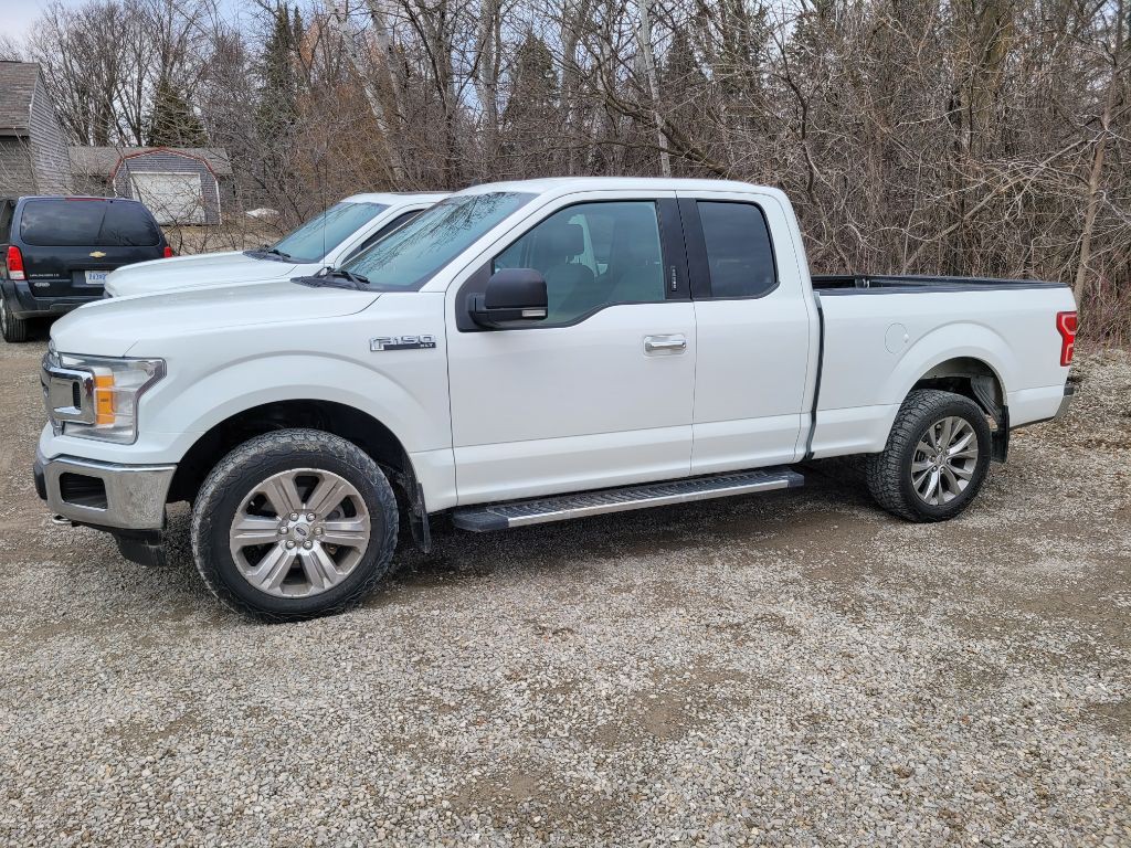 2020 Ford F-150 Image 2