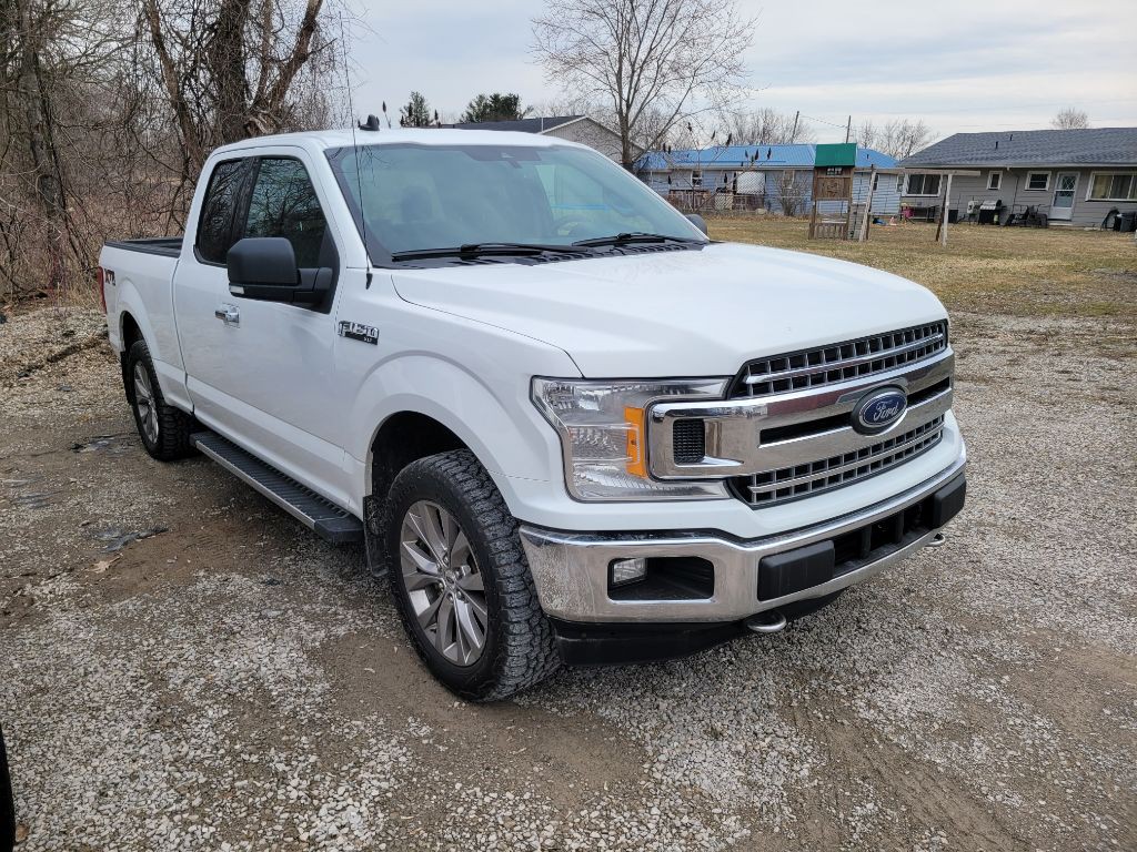 2020 Ford F-150 Image 3