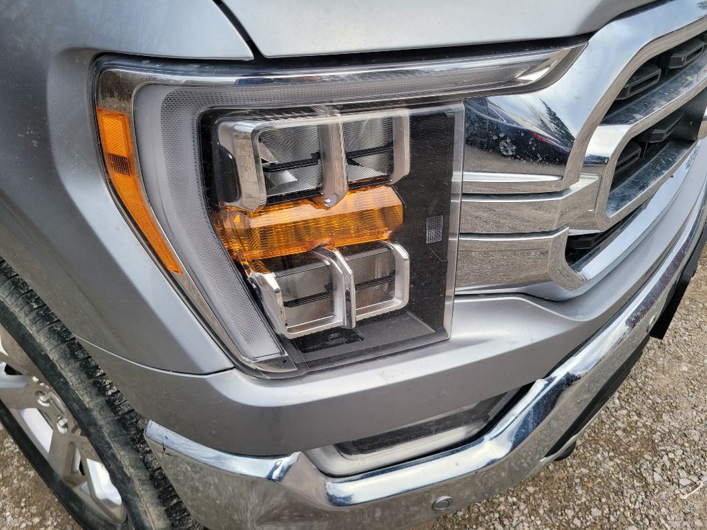 2023 Ford F-150 Image 5