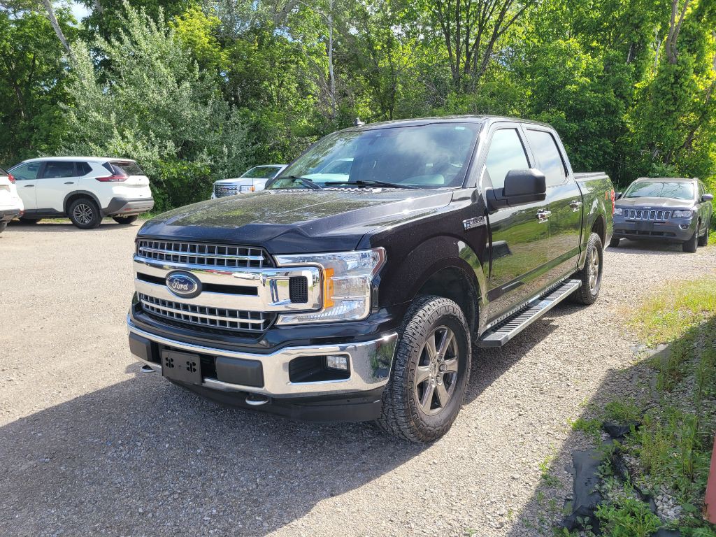 2019 Ford F-150 Image 1