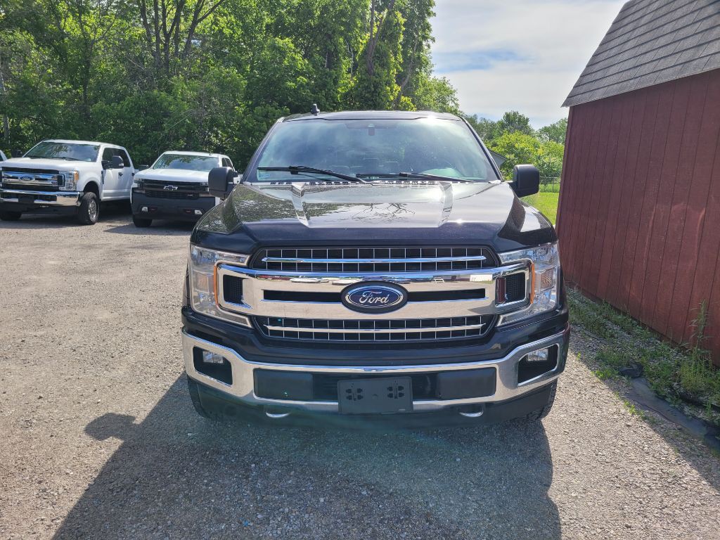2019 Ford F-150 Image 2