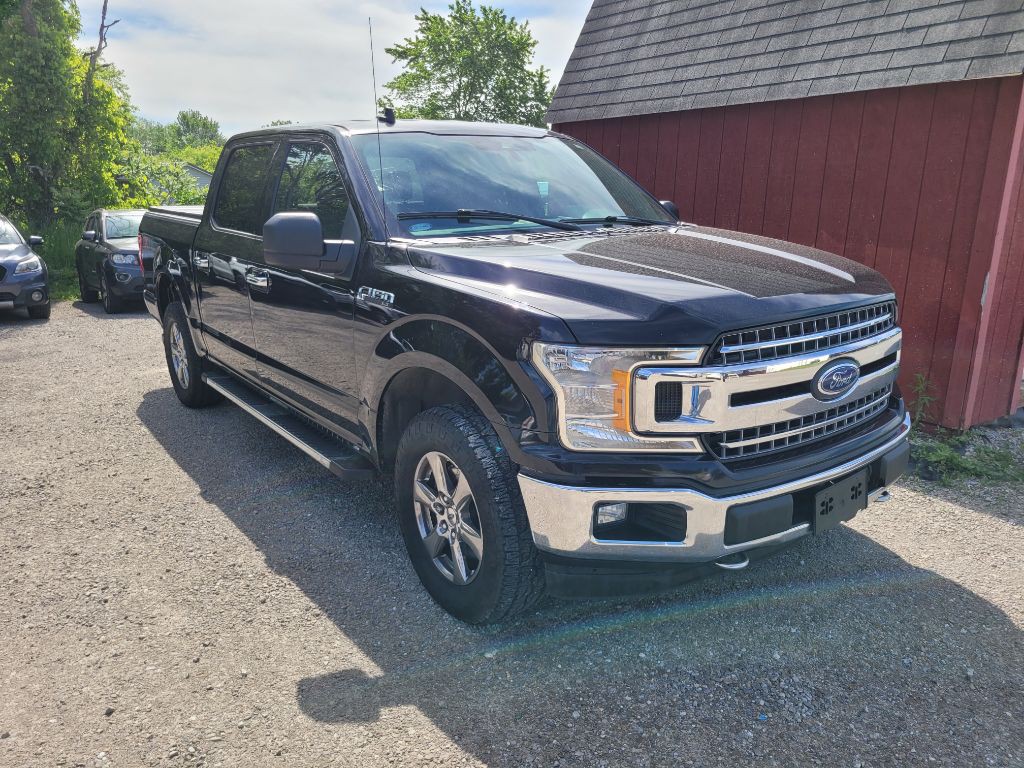 2019 Ford F-150 Image 3