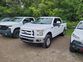 Image for 2016 Ford F-150 XLT ID: 7648410