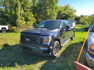 Image for 2021 Ford F-150 XLT ID: 7666141