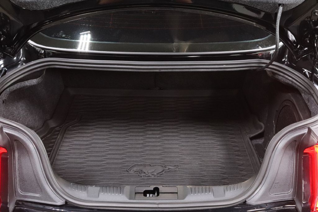2019 Ford Mustang Image 15