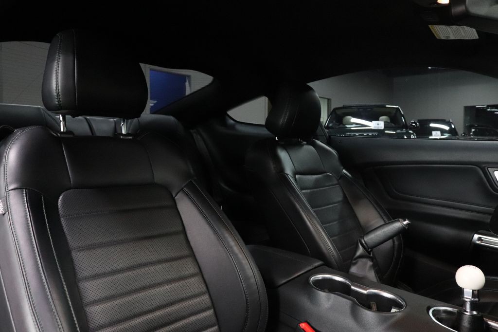 2019 Ford Mustang Image 18